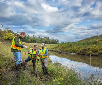 photo of three workers taking samples in a wetland