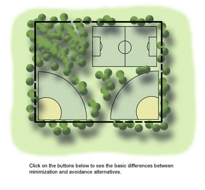 image of a multi-use park