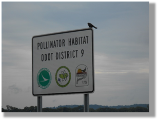 Photo 5-4: Signage to designate roadside plantings valuable to pollinators can be a valuable component of public relations.