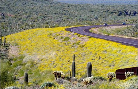 photo of the road through Gonzales Pass, Arizona