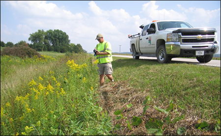 photo of a person taking weed inventory on the side of a road