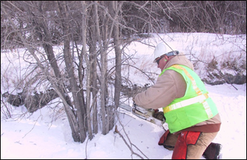 photo of a roadside brush trimming