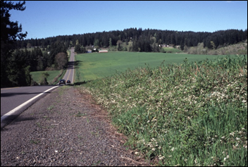 photo of a roadside