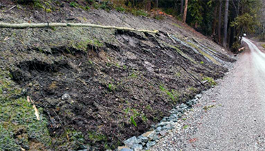 photo of unsuccessful roadside revegetation on steep slope