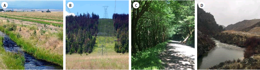photos of  (A), utility rights-of-way (B), roadways (C), and river ways and riparian areas (D), present opportunities to reconnect fragmented pollinator habitats