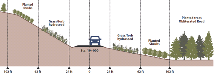Cross-section showing revegetation zones as interpreted from engineering plans as described above