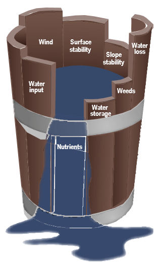 Illustration showing how factors to revegetation can be displayed as unequal boards of a barrel.