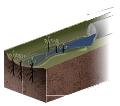 Illustration showing a live silt fence