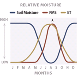 Graph showing Relationships among evapotranspiration, soil moisture, and plant moisture stress - described below
