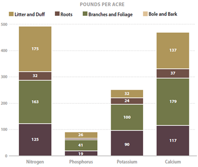 Graph of nutrients in forest stands - described below