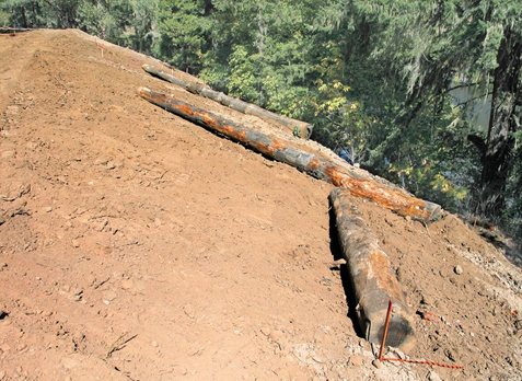 Photo of large wood placement on hill