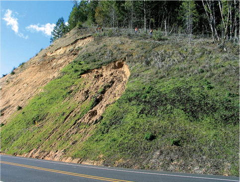 Roadside Revegetation Portal—An Integrated Approach to Establishing Native  Plants