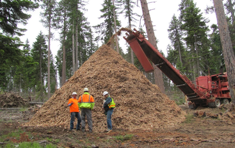 Photo of machine  creating shredded wood for mulch