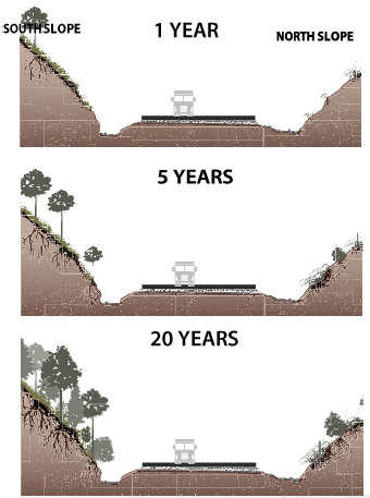 Illustration of how successional processes and plant communities vary considerably based on microsite conditions