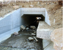 Photo of Culvert with highwater ledge for small mammal crossing