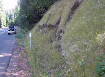 Photo of a steep road cut