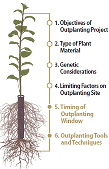 Illustration of Target plant concept