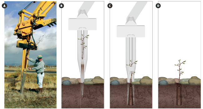 Illustration showing Expandable stinger