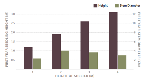 Graph showing first year shoot growth