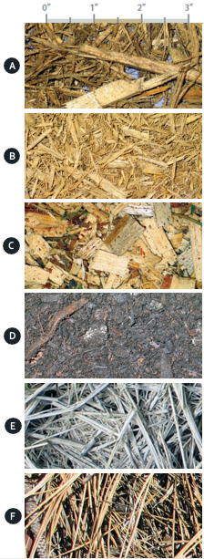 Photo of Different types and textures of organic aggregate mulches