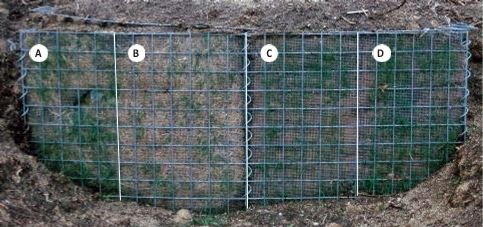 15+ Fence Mow Strip Ideas