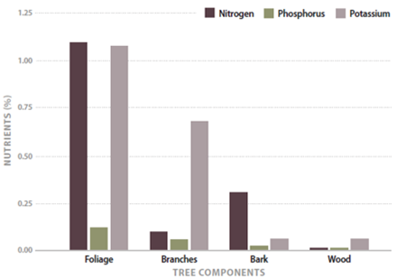 Bar graph of Nutrients in forest biomass