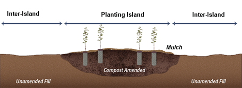 Illustration of Planting island cross section