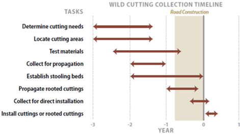 Graph showing Wild cutting collection timeline 