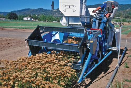 Photo of seed harvesting equipment 