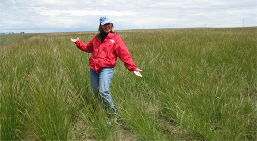 Photo of woman in wheat field