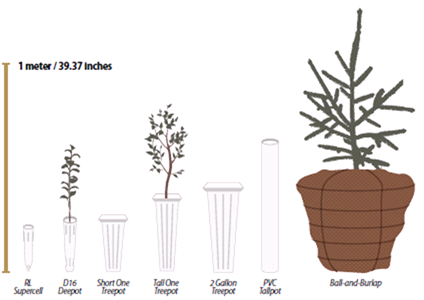 Illustration of different container sizes