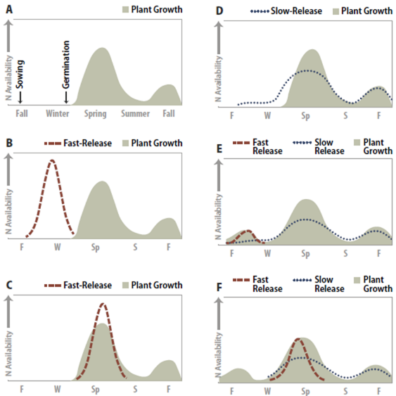 graphic of Strategies for applying slow and fast release fertilizers