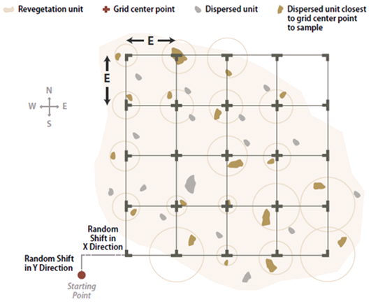 Illustration of Sampling dispersed areas with an offset grid