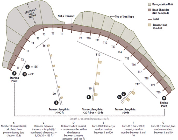 Illustration of linear sampling areas