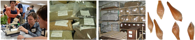 Photo of various seed storage solutions