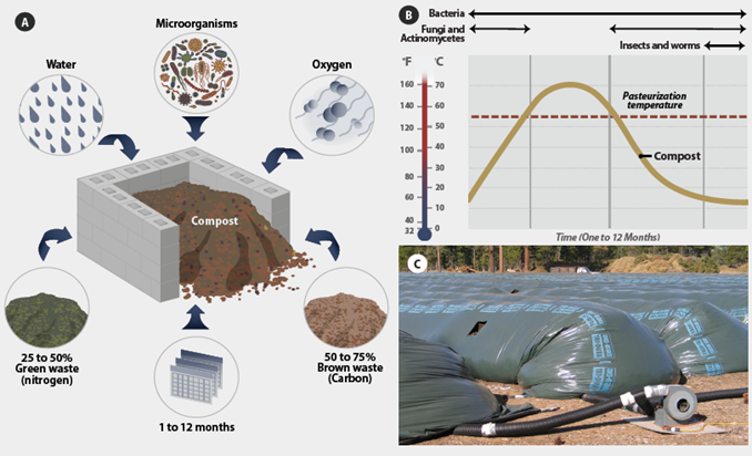 graphic showing compost production as described above