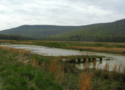 photo of Crow Creek mitigation bank