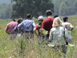 group of people walking away from camera in prarie field