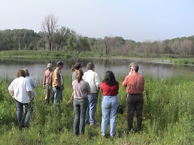 group viewing wetland area