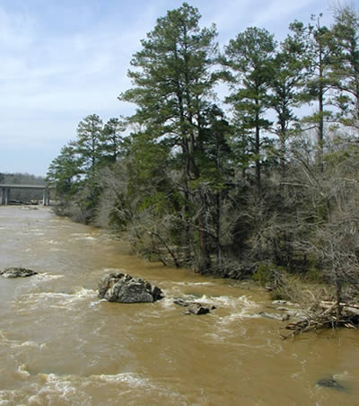 photo of Haw River and tree and vegetation covered shore