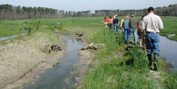 photo of group walking through wetland area