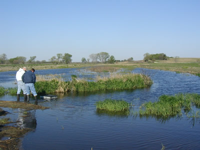 2 people standing in wetland