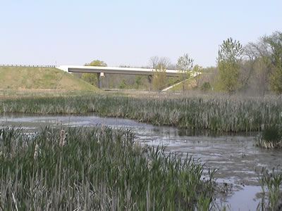 photo of wetland showing large areas of grasses/sedges and some open water