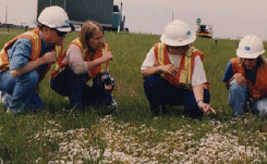 photo of environmental workers