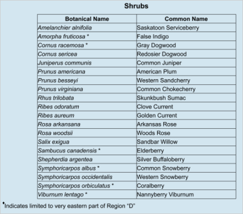 20 shrubs listed by botanical name and common name.
