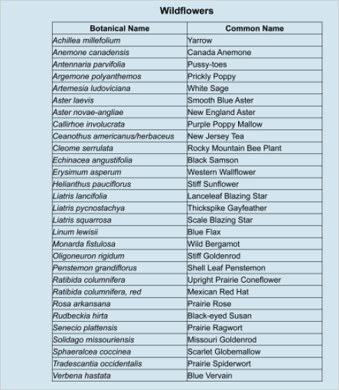 29 wildflowers listed by botanical name and common name.