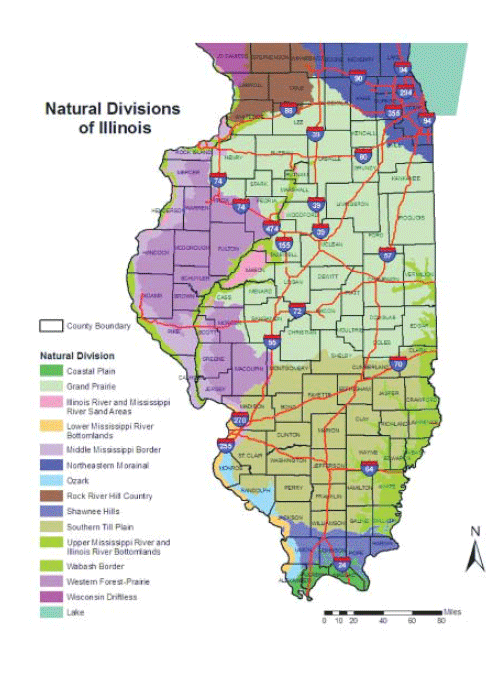 Map of Illinois ecoregions