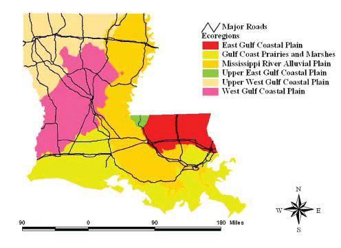 Map of Louisiana ecoregions