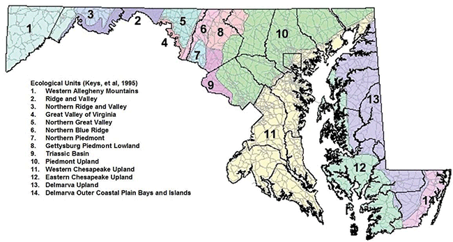 Map of Maryland ecoregions