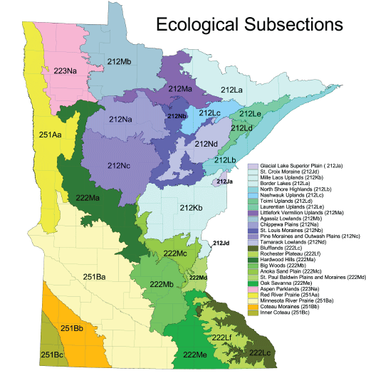 Map of Minnesota ecoregions